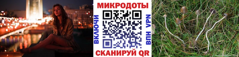 Купить где  Удачный  Псилоцибиновые грибы ЛСД 