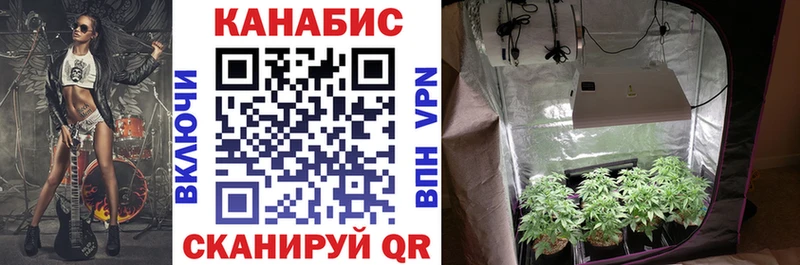 Бошки марихуана индика  Купить закладки  Удачный 